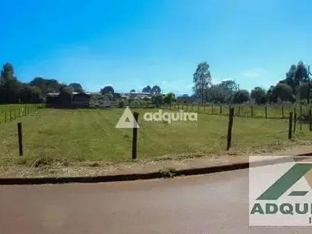 Terreno / Lote para Locação em Ponta Grossa/PR Cará cará