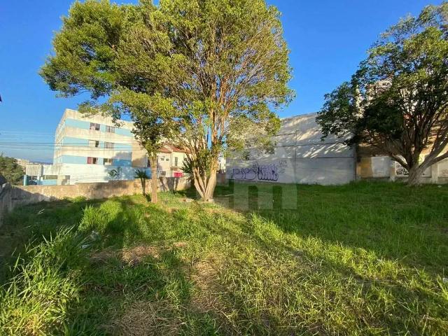 Terreno / Lote para Locação em Ponta Grossa/PR Centro