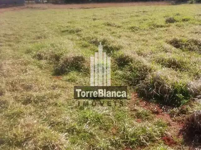 Terreno / Lote para Locação em Ponta Grossa/PR Chapada