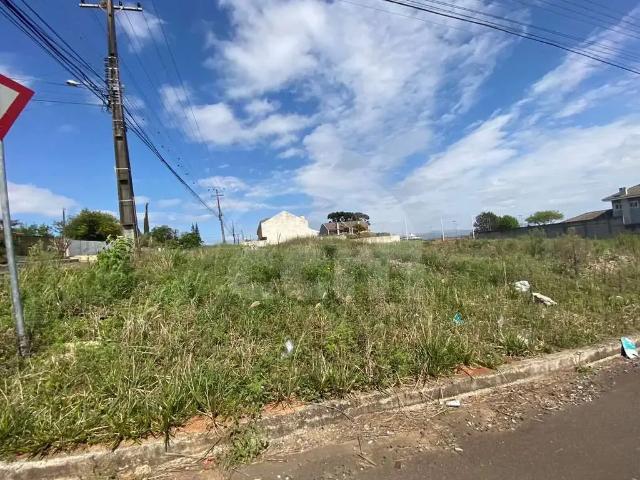 Terreno / Lote para Locação em Ponta Grossa/PR Jardim Carvalho