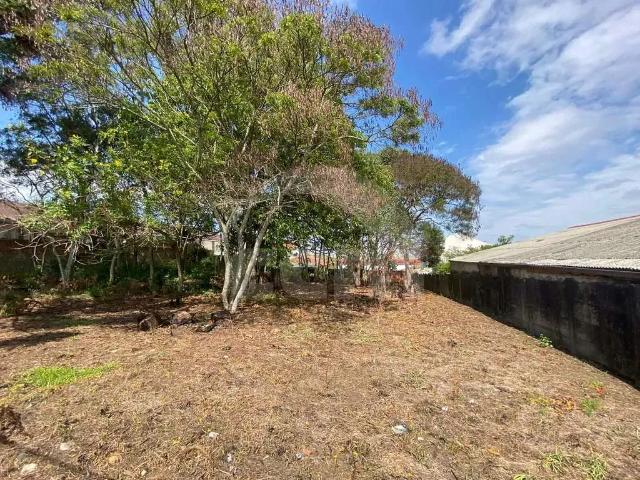 Terreno / Lote para Locação em Ponta Grossa/PR Jardim Carvalho