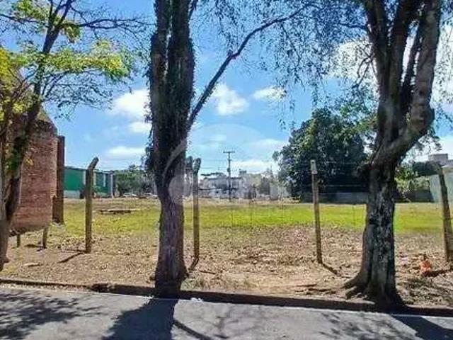 Terreno / Lote para Locação em Ponta Grossa/PR Jardim Carvalho