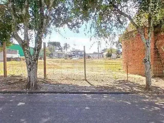 Terreno / Lote para Locação em Ponta Grossa/PR Jardim Carvalho