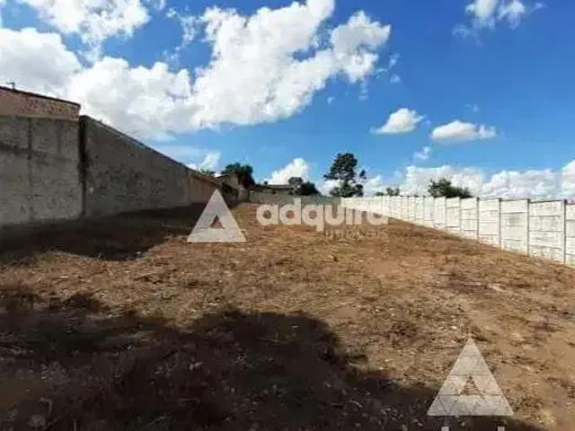 Terreno / Lote para Locação em Ponta Grossa/PR Oficinas