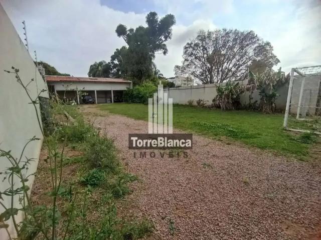 Terreno / Lote para Locação em Ponta Grossa/PR Orfãs