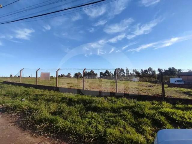 Terreno / Lote para Locação em Ponta Grossa/PR Neves