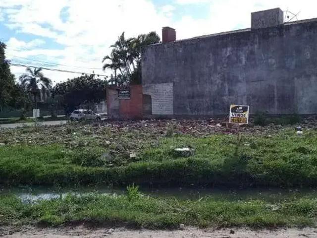 Terreno / Lote para Locação em Pelotas/RS Areal