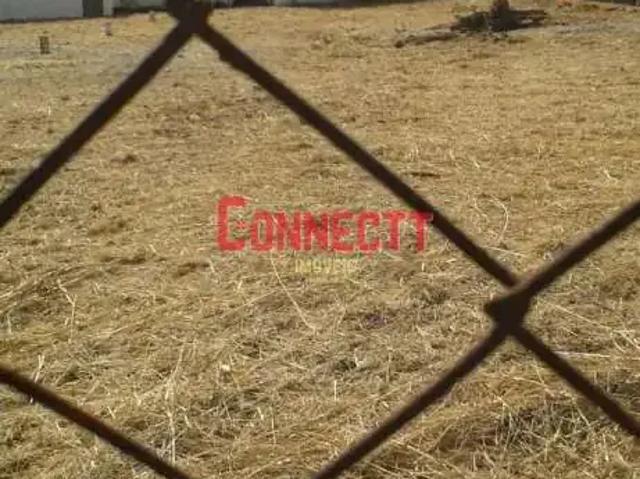 Terreno / Lote para Locação em Ribeirão Preto/SP Jardim Palma Travassos
