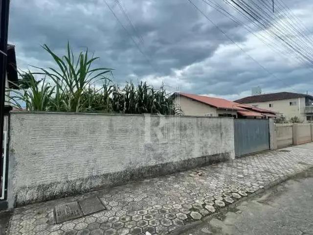 Terreno / Lote para Locação em Tijucas/SC Universitário