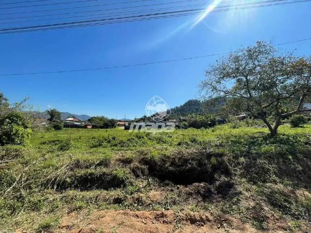 Terreno / Lote para Locação em Timbó/SC Das Nações