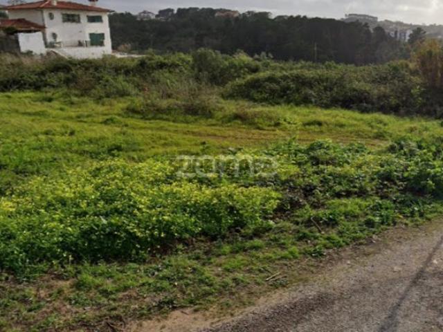 Terreno| Santa Clara | Alto dos Barreiros | Coimbra