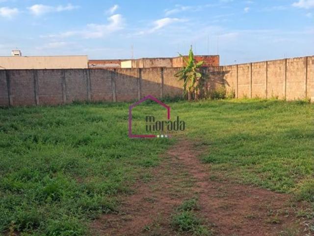 Terreno, Loteamento Cidade Jardim, Catanduva, SP
