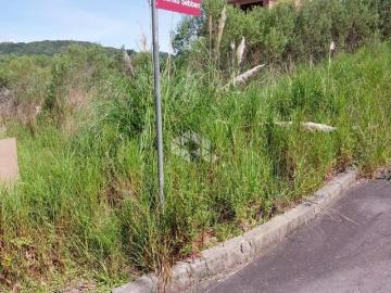 Terreno Loteamento Residencial Reserva Palmeiro