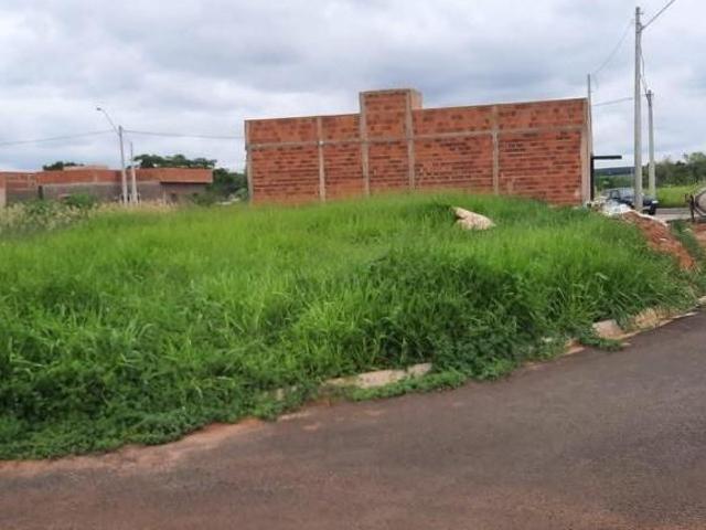 Terreno, Loteamento residencial Vila Dubai, Guaraci, SP