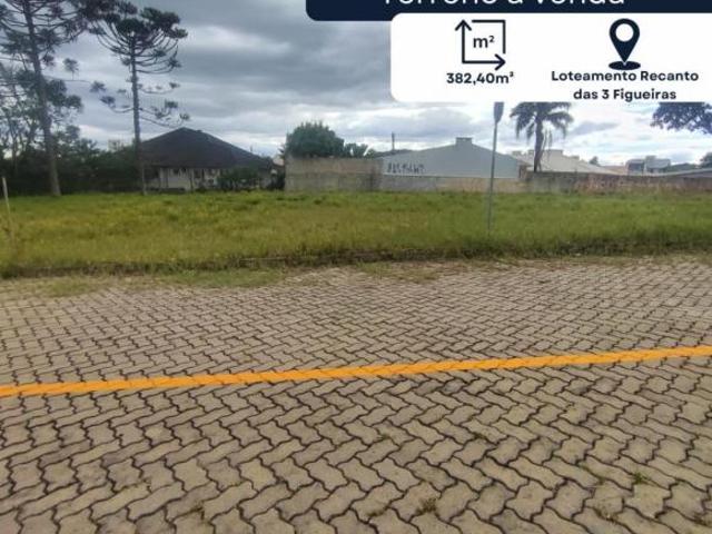 Terreno, Lotemento Recanto das 3 Figueiras, Santo Antônio da Patrulha, RS