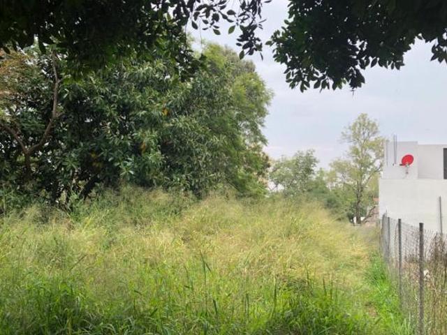 Terreno Pueblo Tetela del Monte