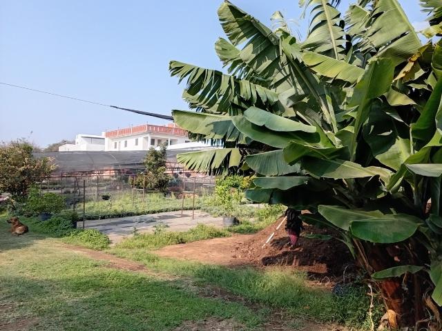 Terreno Pueblo Tetela del Monte
