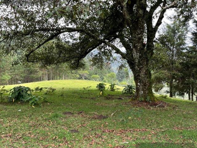 Terreno Pueblo Xico
