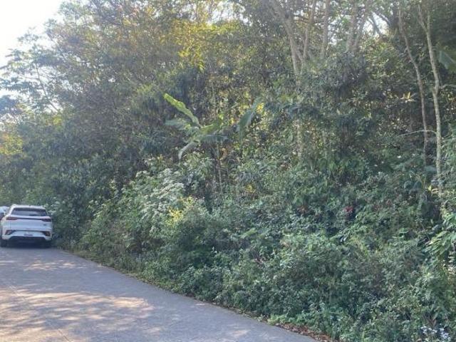 Terreno Pueblo Coatepec
