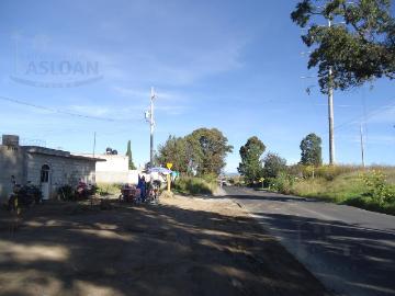 Terreno Pueblo Santo Toribio Xicohtzingo