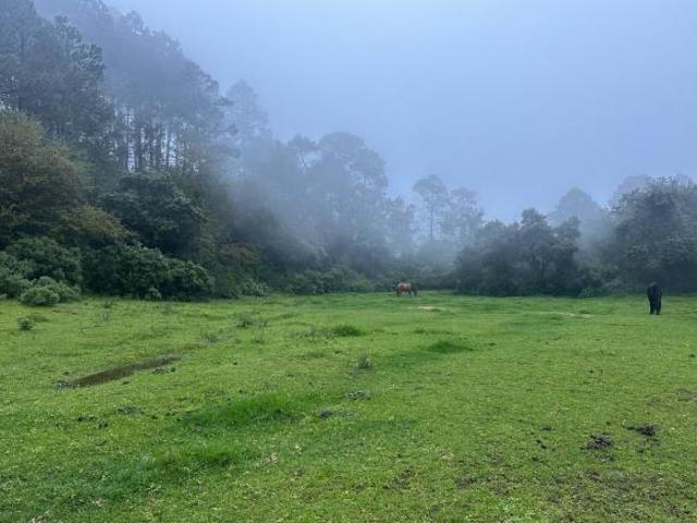 Terreno Pueblo San Antonio el Paso