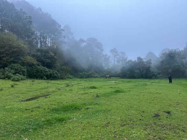 Terreno Pueblo San Antonio el Paso