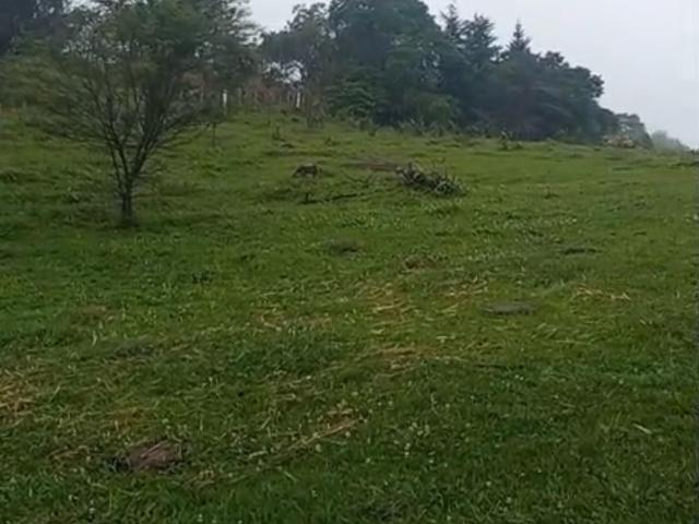Terreno Pueblo San Marcos de Leon