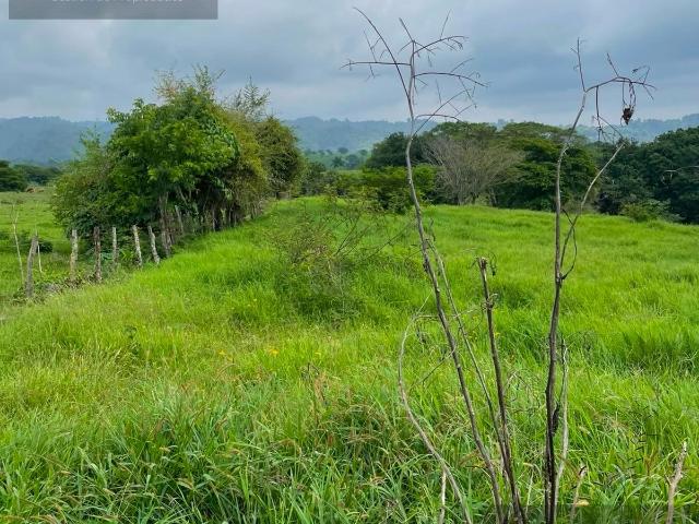 Terreno Pueblo San Marcos de Leon