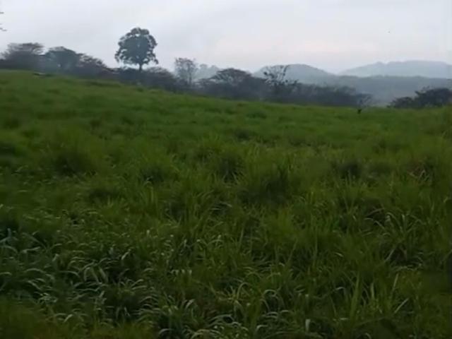 Terreno Pueblo San Marcos de Leon