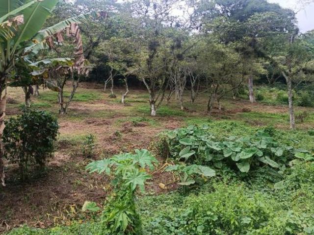 Terreno Pueblo San Marcos de Leon