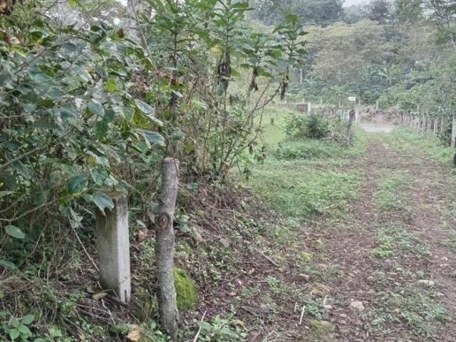 Terreno Pueblo San Marcos de Leon
