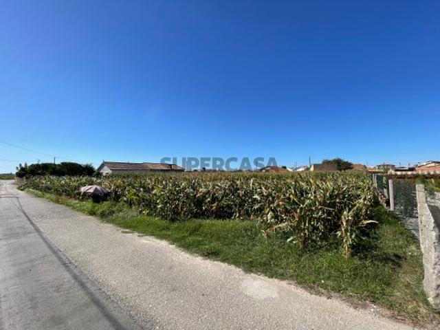 TERRENO P/ CONSTRUÇÃO MURTOSA