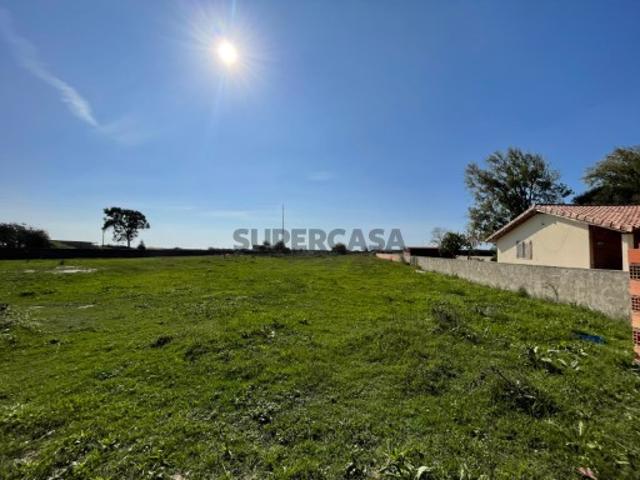 TERRENO P/ CONSTRUÇÃO MURTOSA