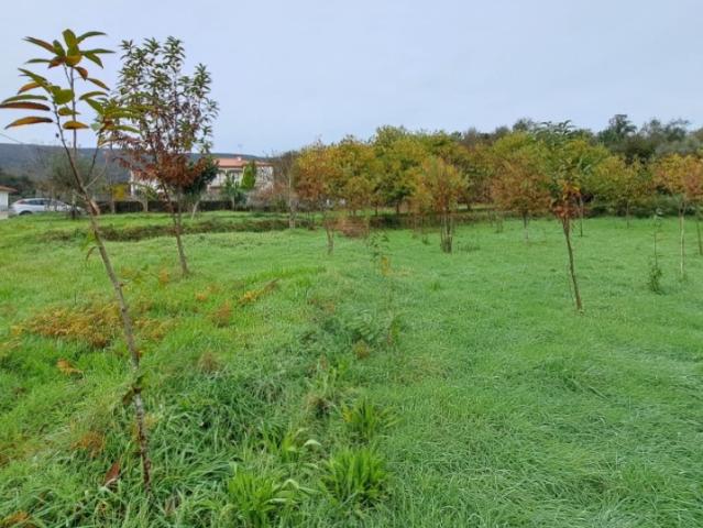 Terreno p/ construção