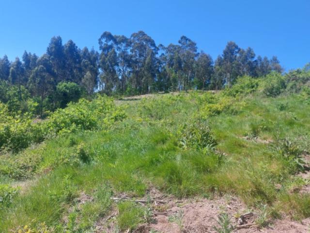Terreno p/ construção