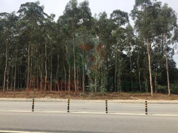 Terreno p/ arrendamento Via Diagonal Excelente Localização