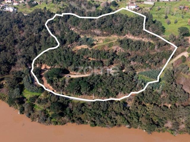TERRENO PAÇOS DE GAIOLO