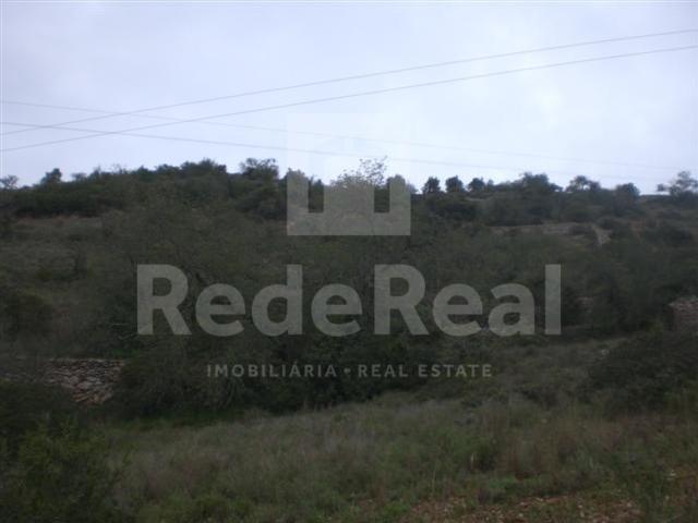 Terreno, Paderne