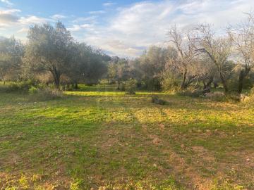 Almeijoafras, Paderne, Albufeira, Albufeira, Distrito de Faro, Algarve