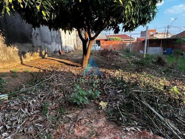 terreno padrão