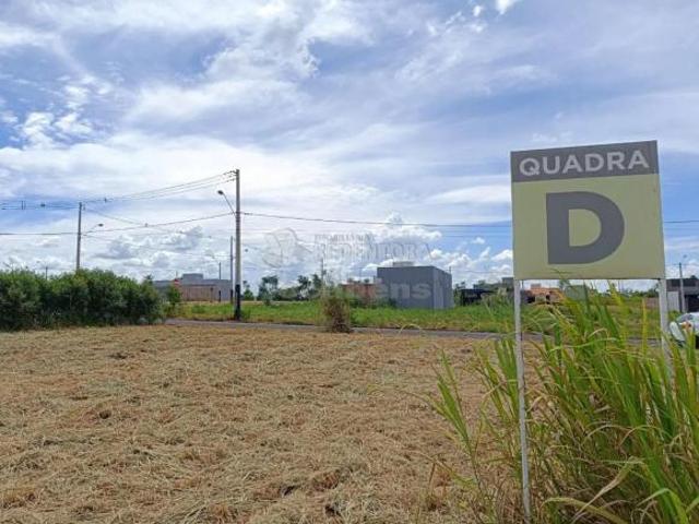 Terreno Padrão em Uchoa