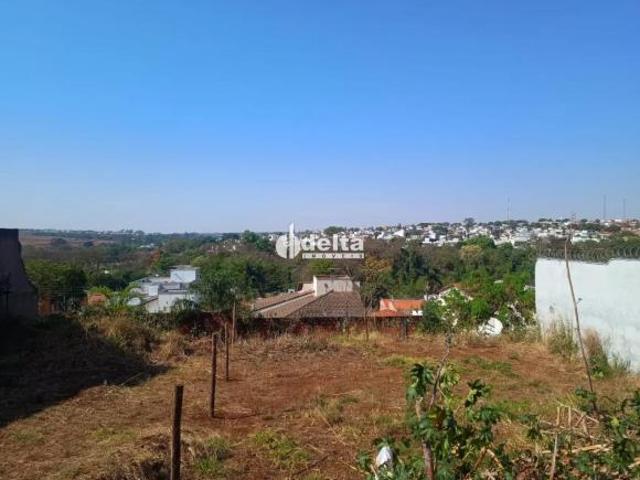 Terreno Padrão em Uberlândia