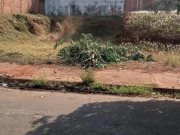 Terreno Padrão em Brotas