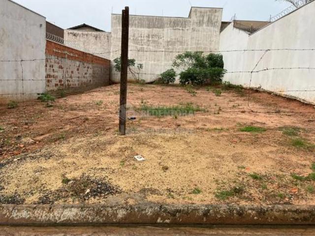 Terreno Padrão em Jaci