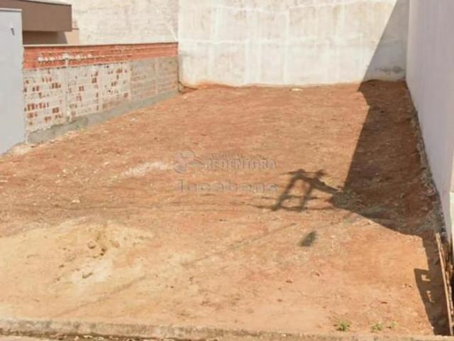 Terreno Padrão em Jaci