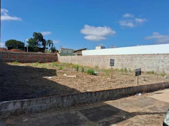 Terreno Padrão em Mirassol