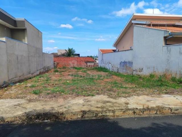 Terreno Padrão em São José do Rio Preto