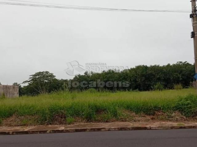 Terreno Padrão em São José do Rio Preto