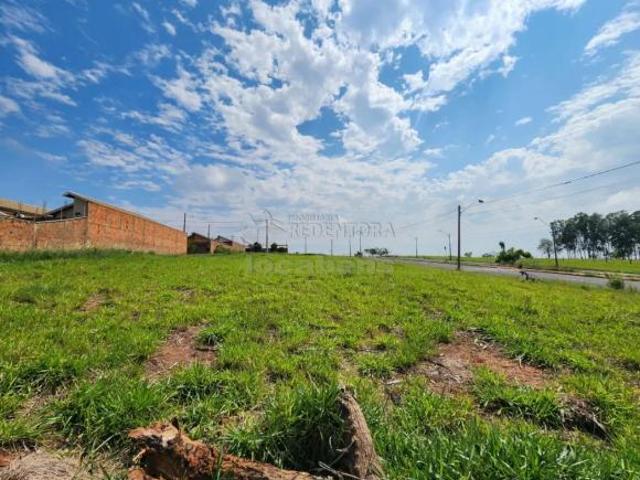Terreno Padrão em São José do Rio Preto