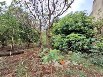 Terreno padrão para venda no Bairro City, em Ribeirão Preto/SP